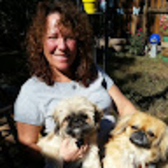 Meet your Posher, Dawn - Picture 1 of 1